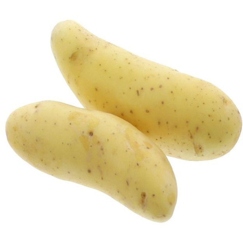 PDT CELTIANE NOUVELLE RECOLTE 12,5KG
